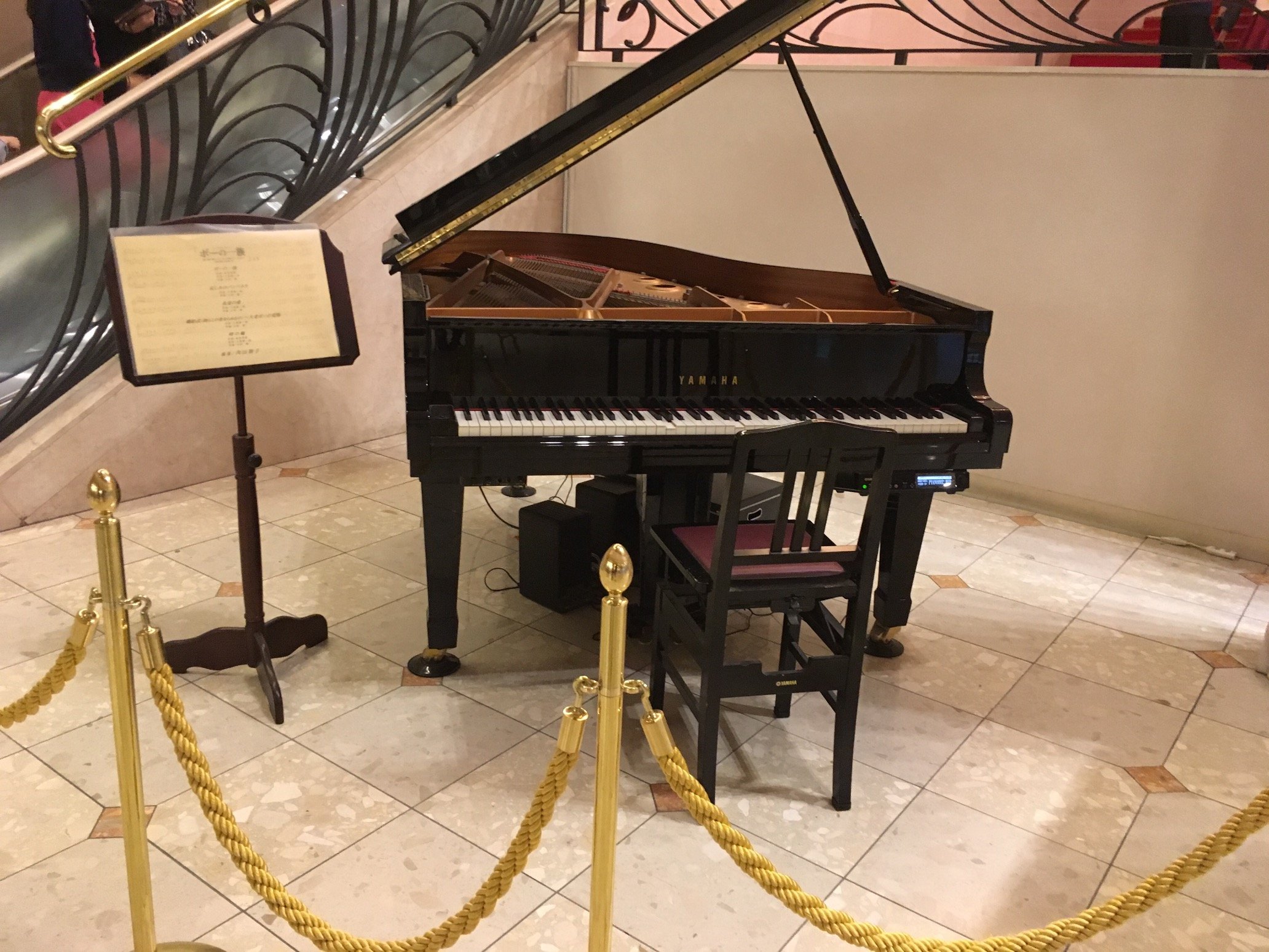 日々のことや音楽活動を中心につぶやきます。宝塚大好きです。いや、やっぱり宝塚のことしかつぶやいてません。よろしくお願いします。