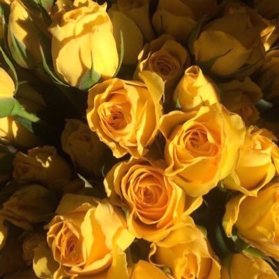 ابحث للناس المحترمة الراقية🌹اسعى والتوفيق من الله ...اتعابي من الطرفين بعد الملكة🌹لا ابحث مسيار ولا تعدد