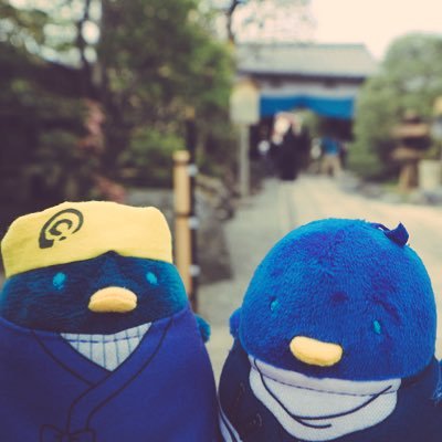 サラサラさんのプロフィール画像