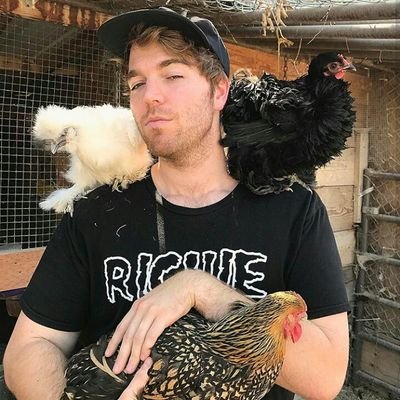 AlyssaYorkie's profile picture. FAN ACCOUNT!!!
YouTubes