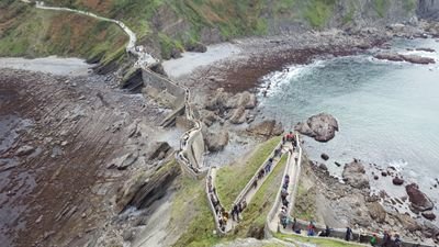 moissgmz's profile picture. 