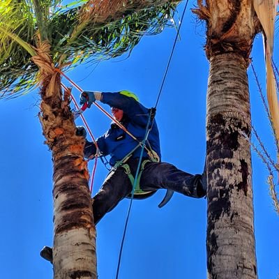 VWRiquelme's profile picture. 