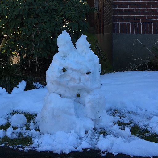 Boticib's profile picture. 