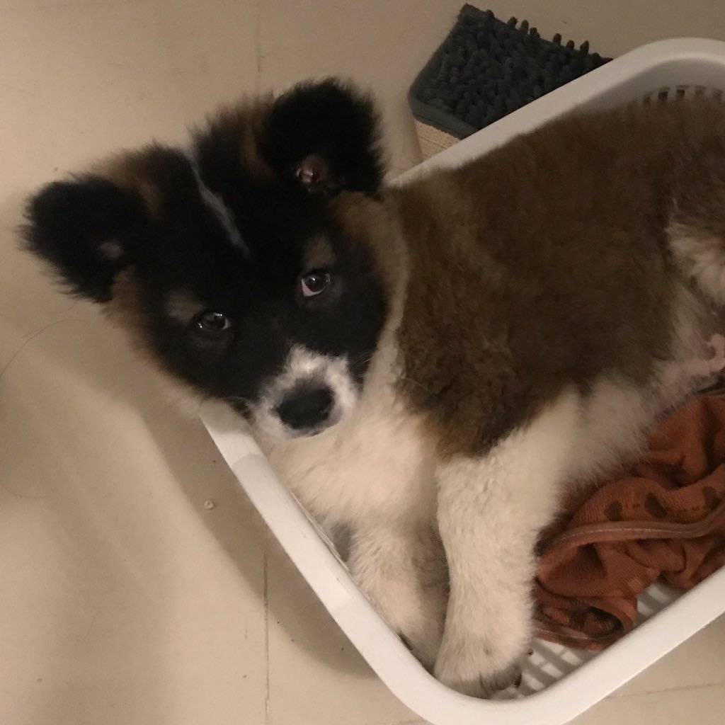 SmSureeporn's profile picture. 🙃