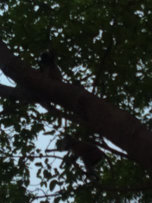 BisoyiTilu's profile picture. My family to good job