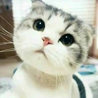 埼玉羽生 (@29benki29) Twitter profile photo