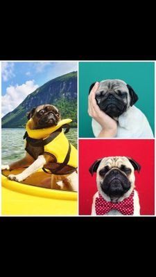 Vlodek5's profile picture. .