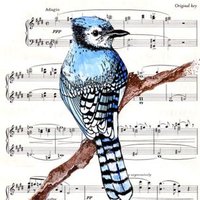 Raytown HS Orchestras (@raytown_orch) 's Twitter Profile
