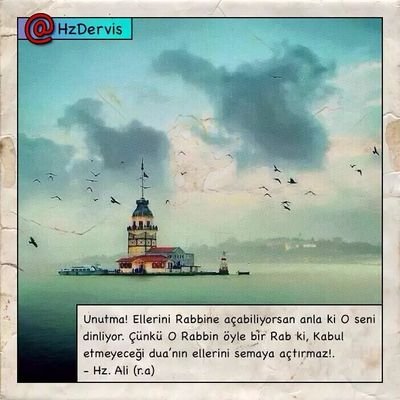 ahmet4687oksuz's profile picture. 