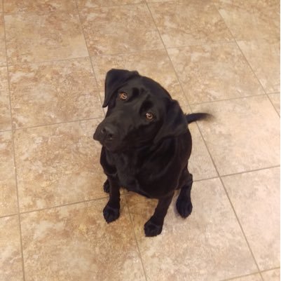 normstorm83's profile picture. 