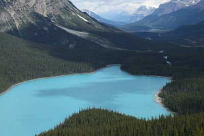 touchscreen411's profile picture. red pill