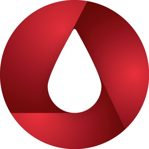 RigTorrent's profile picture. 