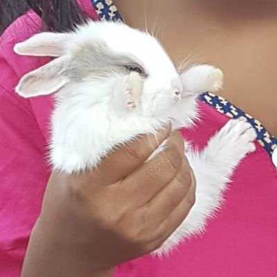 redgecliff's profile picture. 