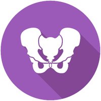 Int. Society of Pelvic Surgery (@surgerypelvis) 's Twitter Profile