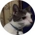 PAWSturing 🐾 (@yungkismat) Twitter profile photo PAWSturing 🐾 (@yungkismat) Twitter profile photo