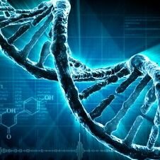 GeneticsOfLife's profile picture. #Genetik #Molekülerbiyoloji #Bilim #Gelecek #Biliminsanları #AkademikBilgiPaylaşımı
#Genetics #MolecularBiology #Science #Future #Scientist #Academicinformation