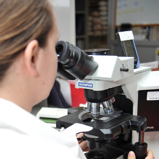 Labtest_edu's profile picture. Medical Lab Technologist, I am aiming to provide essential clinical lab tests guide and information, to increase health literacy among people in Ontario.