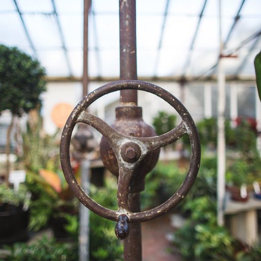 Florist, Greenhouses, Garden Center in Downtown Lexington, KY