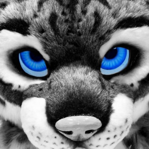 TR3M3LO's profile picture. Fursuiter.
Navigator.
Rogue.
Charlatan.
Saint.