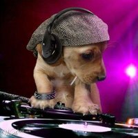 TMartin 🇺🇸 (@mrtn1t) 's Twitter Profile Photo TMartin 🇺🇸 (@mrtn1t) 's Twitter Profile Photo