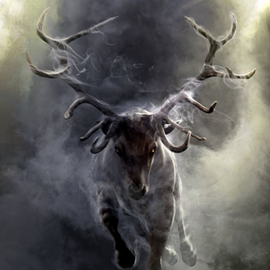 mnenmc's profile picture. 心底无私天地宽