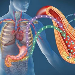 endocrine15's profile picture. 