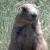 Larissa R Norris (@larissa04303388) Twitter profile photo Larissa R Norris (@larissa04303388) Twitter profile photo