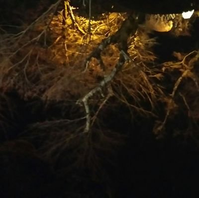 H89Kazu's profile picture. 