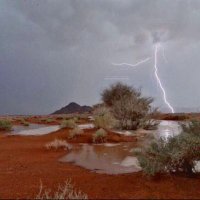 عبد الله العتيبي (@t_hdt) 's Twitter Profile
