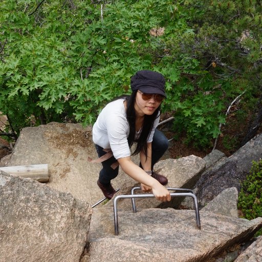 Research Associate @UOBFlightLab working on aeroelastic flutter and flow sensing in birds. Also (overly) interested in climbing.