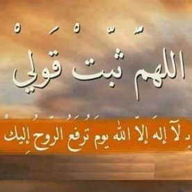 معلمة حاسب آلي _ مدربة تصحيح آلي _ مدرب مايكروسوفت _ بكالوريوس علوم حاسبات