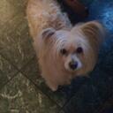 Lanette Baker - @LanetteBaker - Twitter