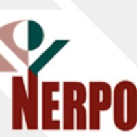 Nerpo(@NerpoTalk) 's Twitter Profile Photo