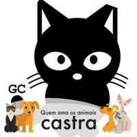 Projeto Gatos Castrados(@GatosCastrados) 's Twitter Profile Photo