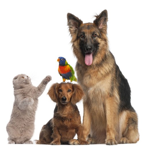 Thorste98053883's profile picture. 