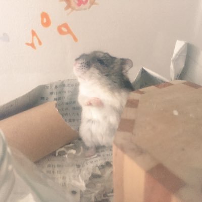 omine_me's profile picture. 研究等→ @mineBeReal