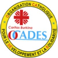 Ocades Caritas Burkina /Dédougou (@ocadesd) 's Twitter Profile