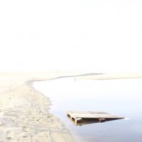 Pedro Marques (@pmsexualidade) 's Twitter Profile Photo