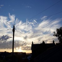 Axe Valley Arts (@axevalleyarts) 's Twitter Profile