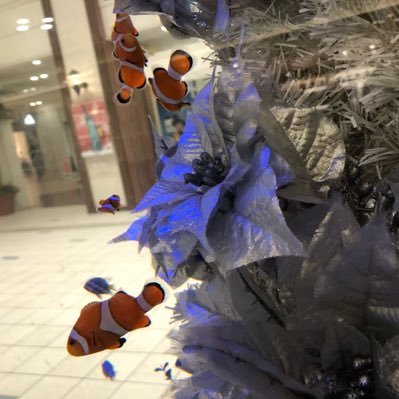 whatawaste_'s profile picture. さきぽん