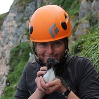 Allison Patterson (@allisonglider) 's Twitter Profile Photo