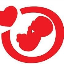 CDRUIZ33 Profile Picture