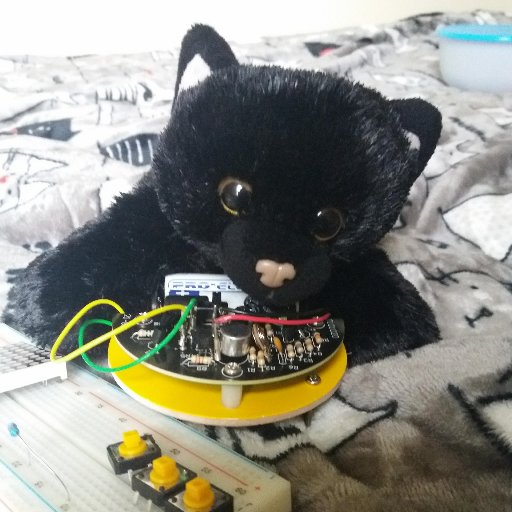 My name is Night and I am cat. I am studying engineering and one day I will work for Elon Musk and I will build space rocket. Now I am just chewing wires.