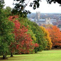 University of Kent Landscape Management (@unikentgrounds) 's Twitter Profile