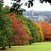 University of Kent Landscape Management (@unikentgrounds) Twitter profile photo University of Kent Landscape Management (@unikentgrounds) Twitter profile photo