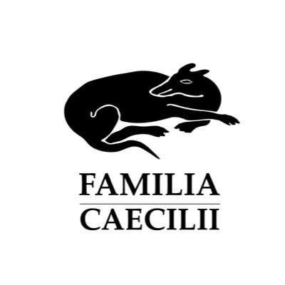 A not for profit working to build a protective roof over the House of Caecilius in Pompeii. Working with @caecilius_clc and the #swedishpompeiiproject