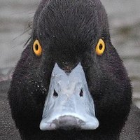 Nils Markusson (@nilsmarkusson) 's Twitter Profile Photo Nils Markusson (@nilsmarkusson) 's Twitter Profile Photo