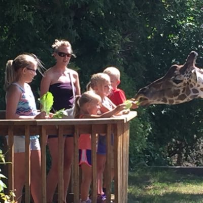 AgronomyGambler's profile picture. Farming is a gamble. Ag Tech helps you know when to hold 'em and when to fold 'em. Ag Tech Manager ND & MT. Opinions are mine and not of Winfield United.