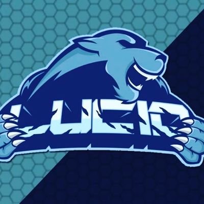 Huge Chelsea Fan

If you need Grips go to @forevergrips use code LUCID for a 10% discount off all products.

Player at @Lucid_egaming