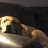 hollar_ken's avatar